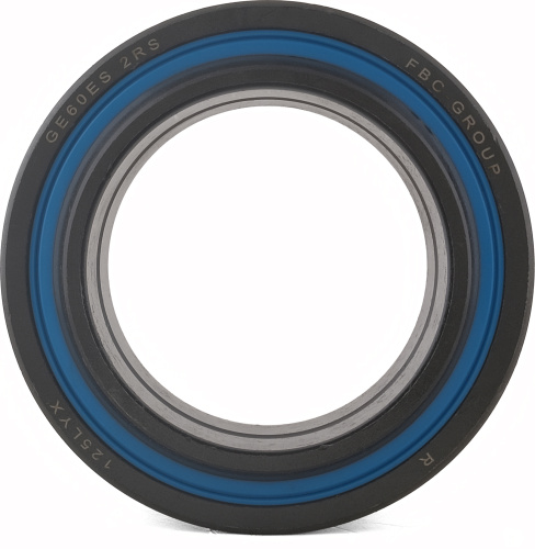 GE 60 ES 2RS FBC (ISO)
