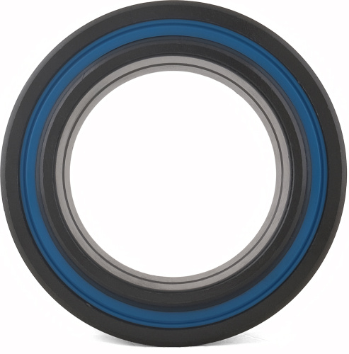 GE 60 ES 2RS FBC (ISO)